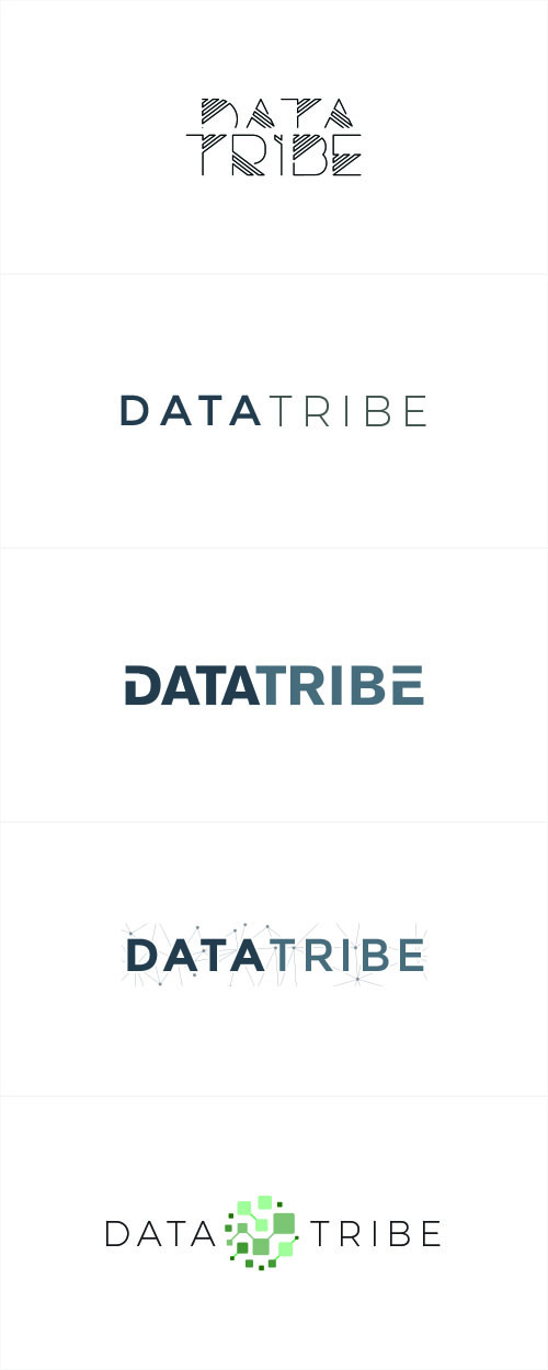 Data Tribe-Logo